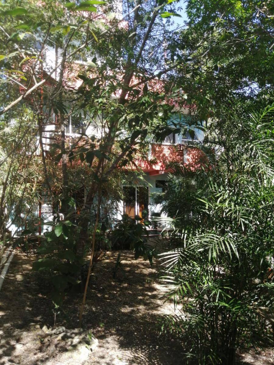 Casa con 6 departamentos y amplio jardín 5