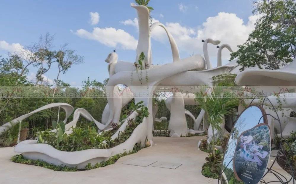 Residencias de lujo en la Selva Maya 5