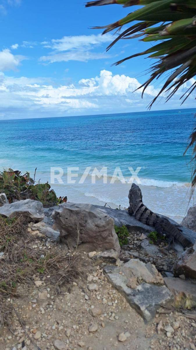 Inversión en Paraíso: Condos de Lujo en Tulum 4