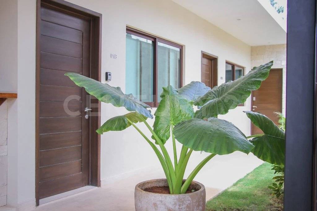 Departamento amueblado con piscina en Tulum 5