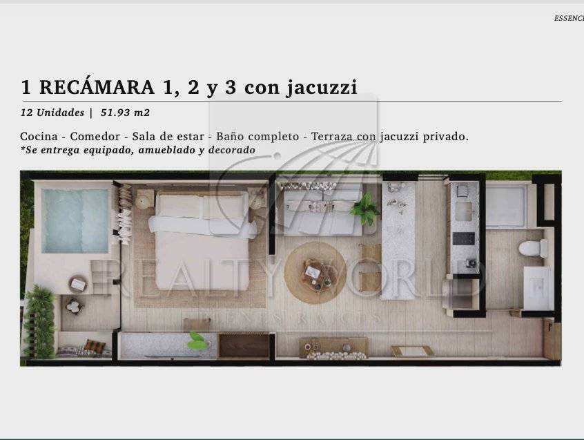 Inversión ideal en el corazón de Tulum 4