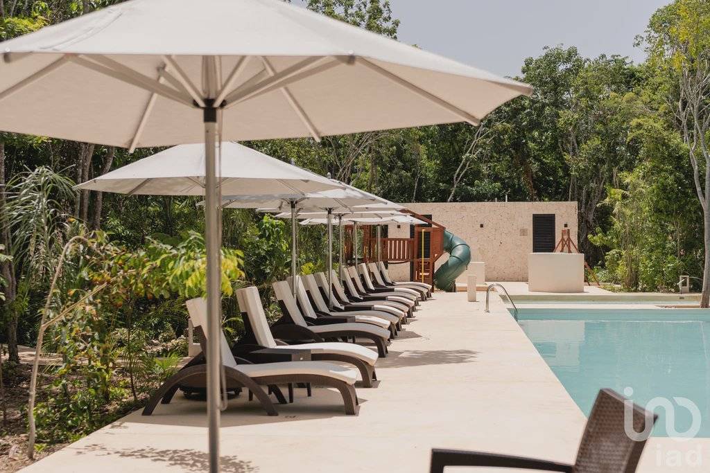 Casa en Tulum: Naturaleza y lujo a tu alcance 2