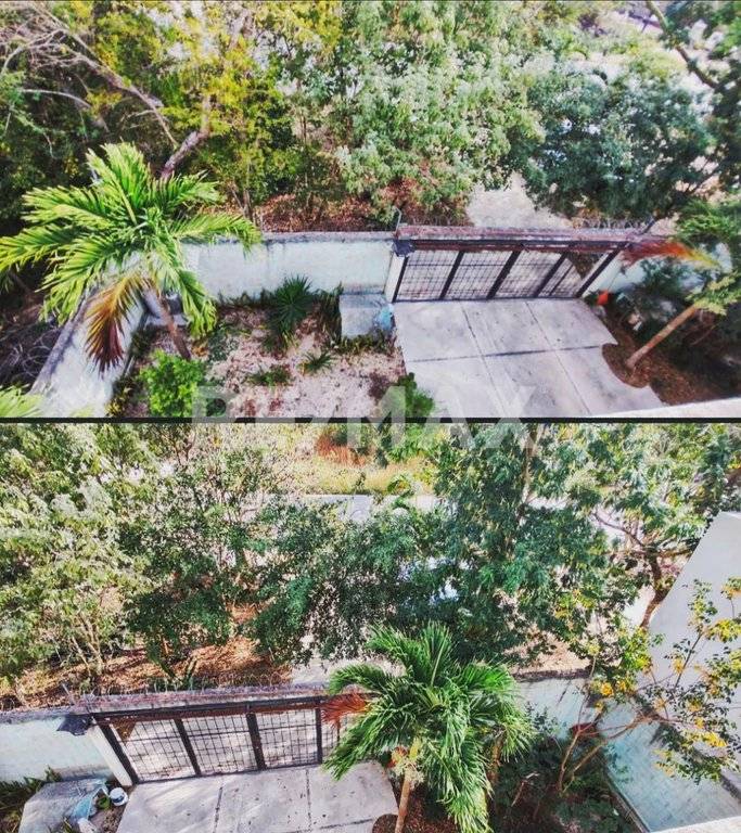 Casa Alisseê: Lujo y Naturaleza en Tulum 4