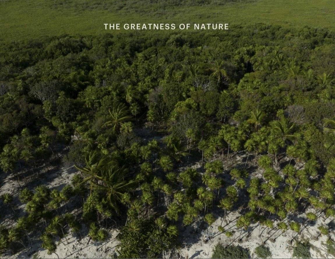 Elegancia y naturaleza en Tulum 4