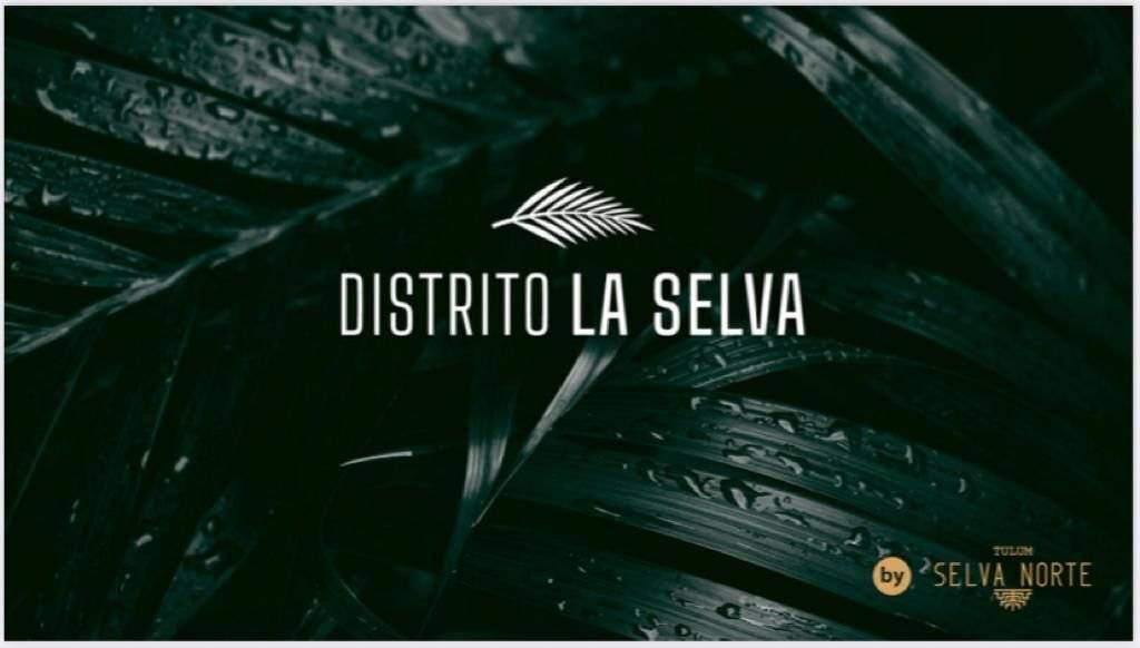 Residencias Personalizadas en Tulum ¡Tu Oasis! 2