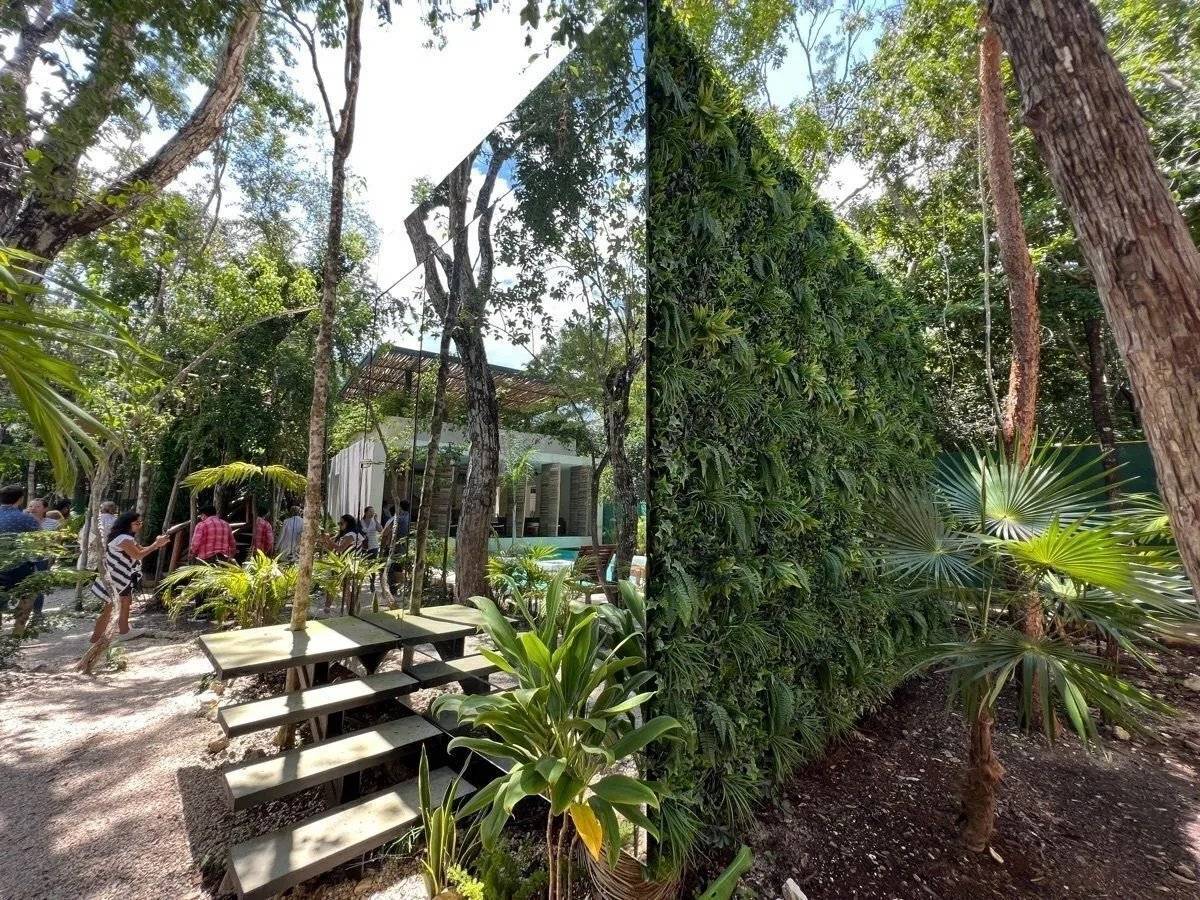 Loft en Tulum: Naturaleza y confort juntos 5