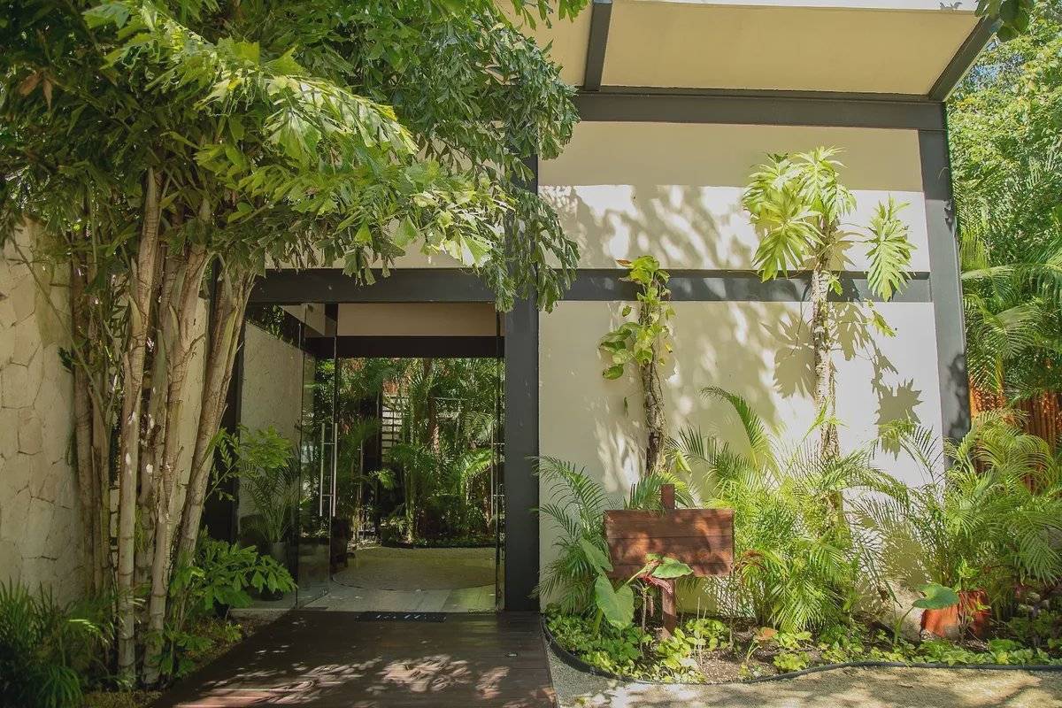 Lujo en la selva: piscina y rooftop privado 4