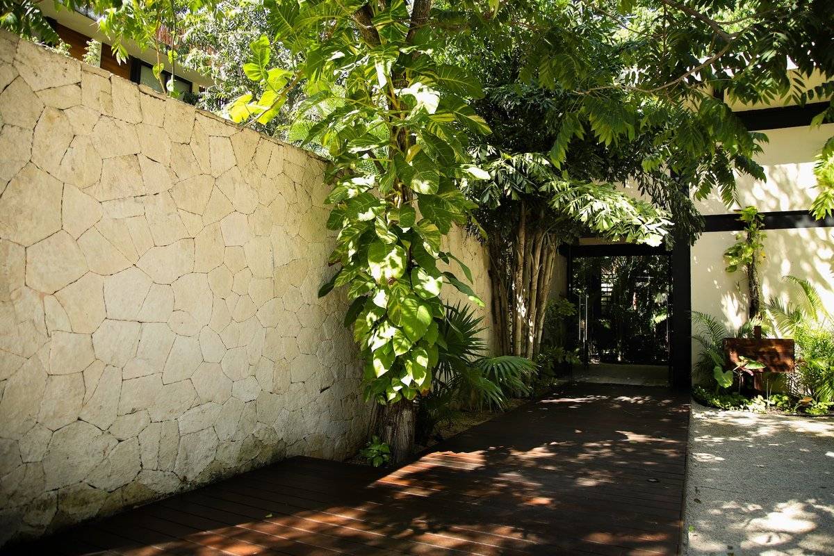 Lujo en la selva: piscina y rooftop privado 3