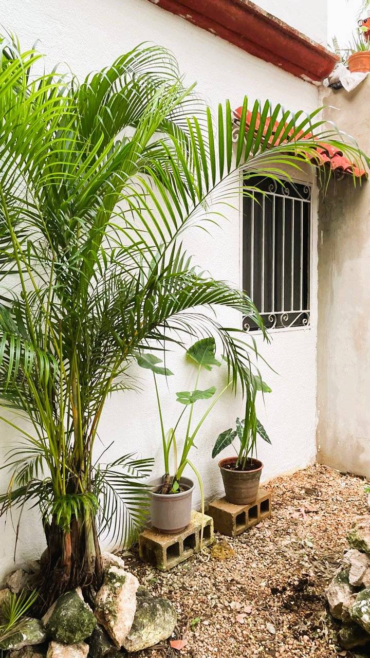 Casa familiar en Tulum, ¡ubicación ideal! 3