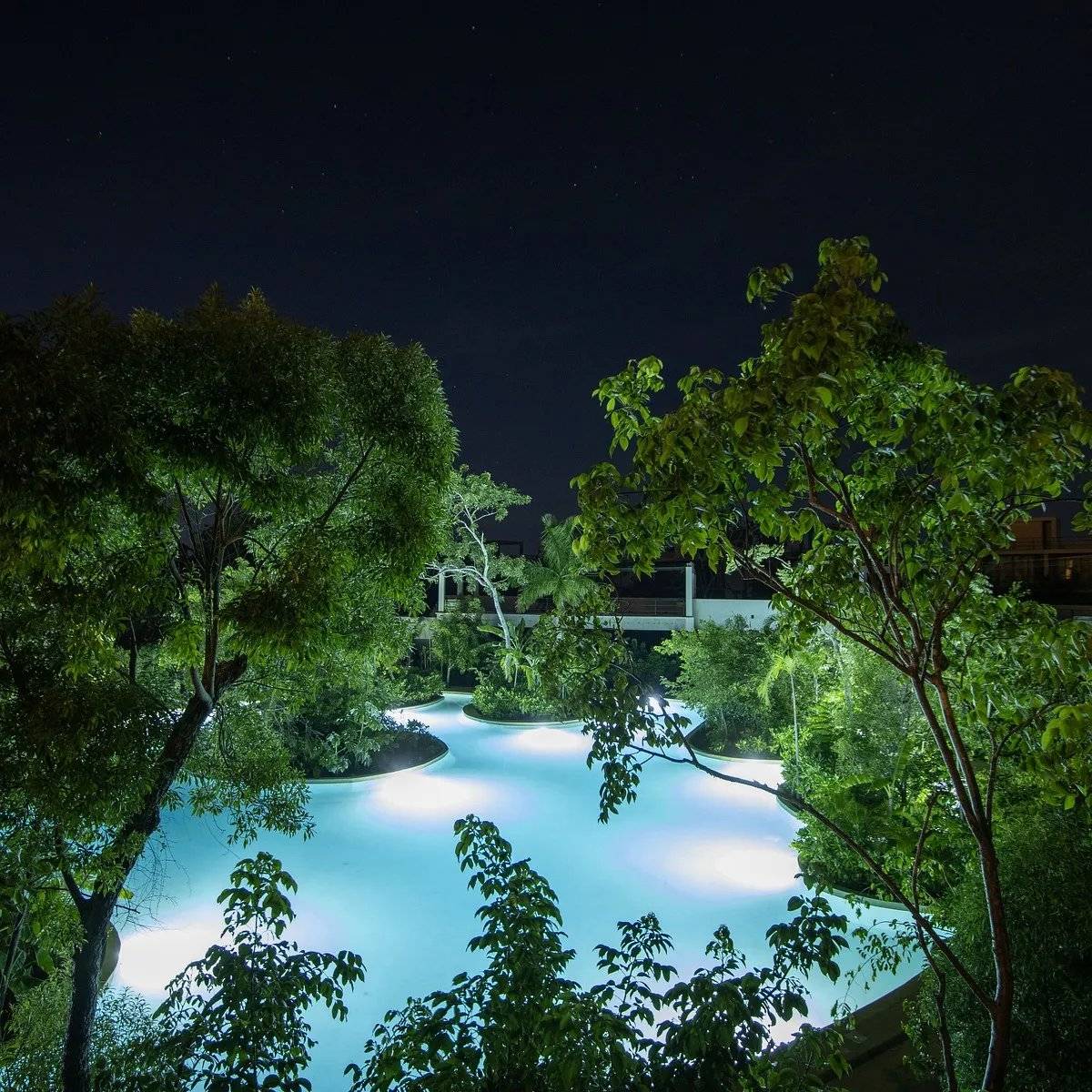Jardín privado y alberca en Tulum 4