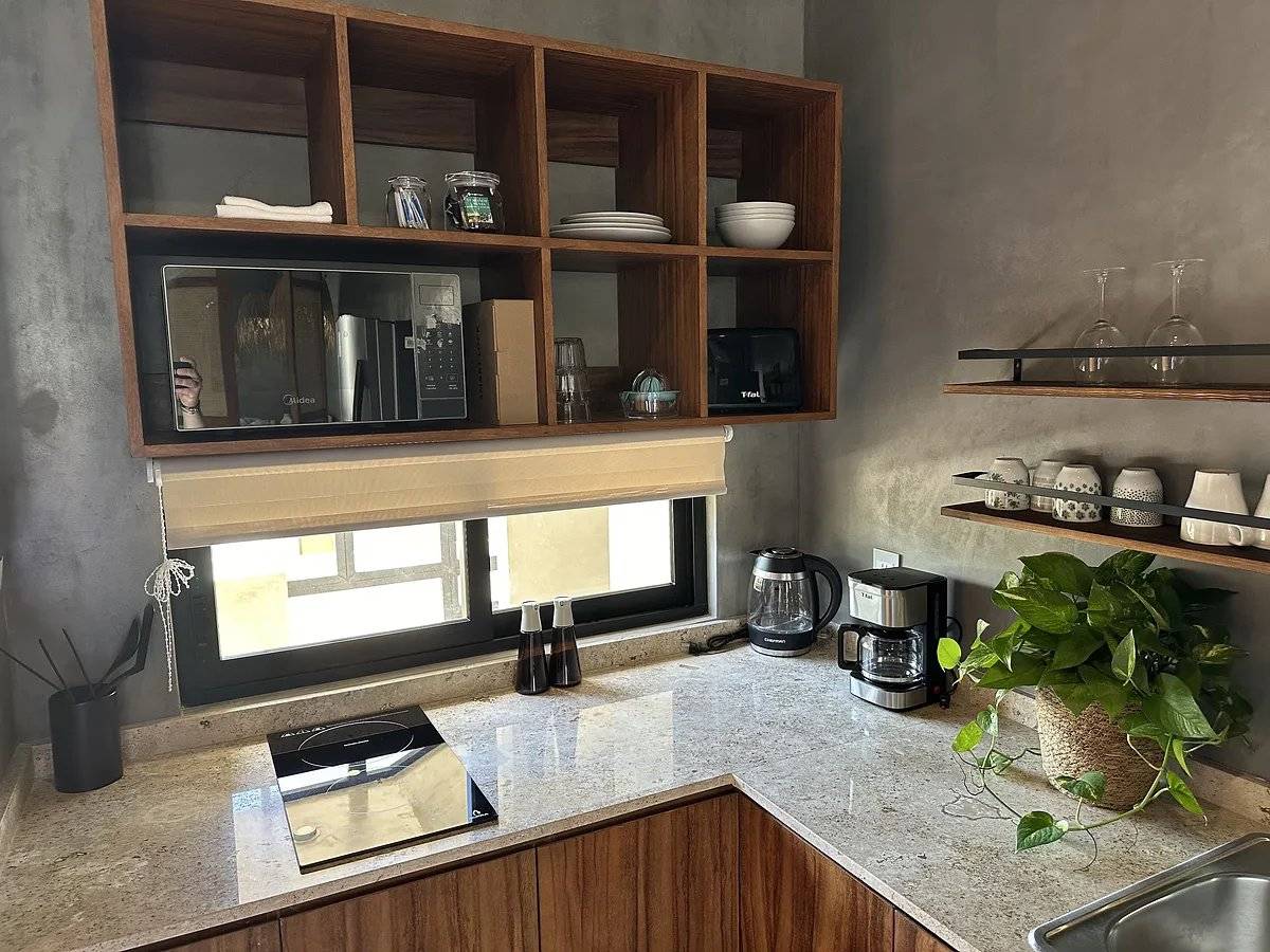 Depto nuevo con balcón y plunge pool privada 5