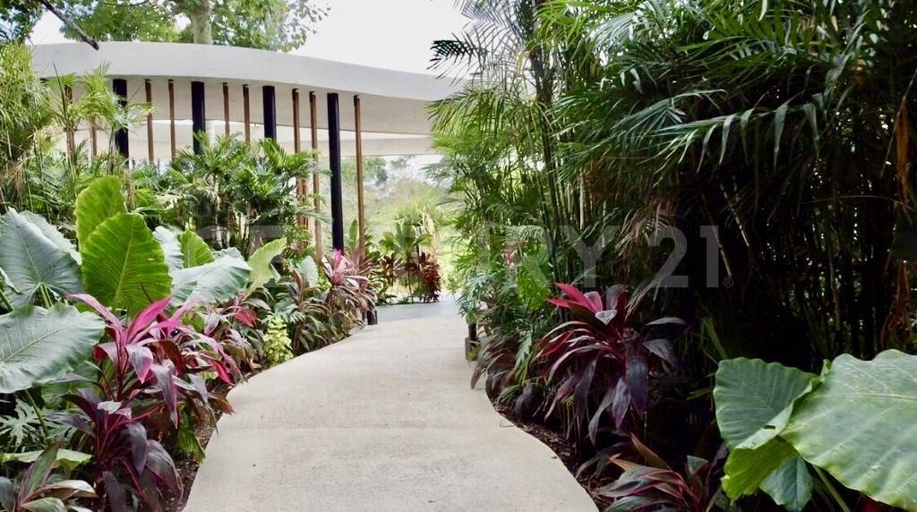 Oportunidad Eco-Luxury en Tulum ¡Invierte ya! 5
