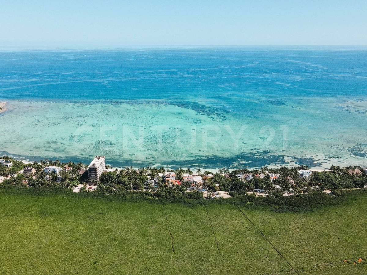 Lujo y tranquilidad frente al mar en Tulum 5