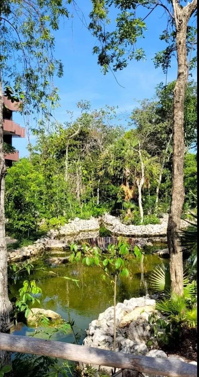 Oportunidad de inversión en Selva Zama, Tulum 5
