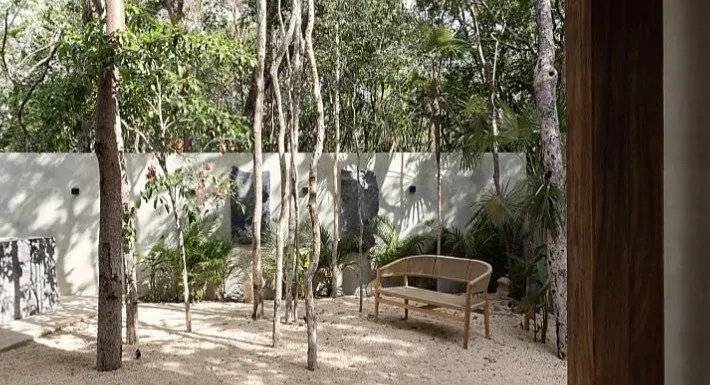 Lujo y naturaleza en Tulum, ¡tu refugio ideal! 4