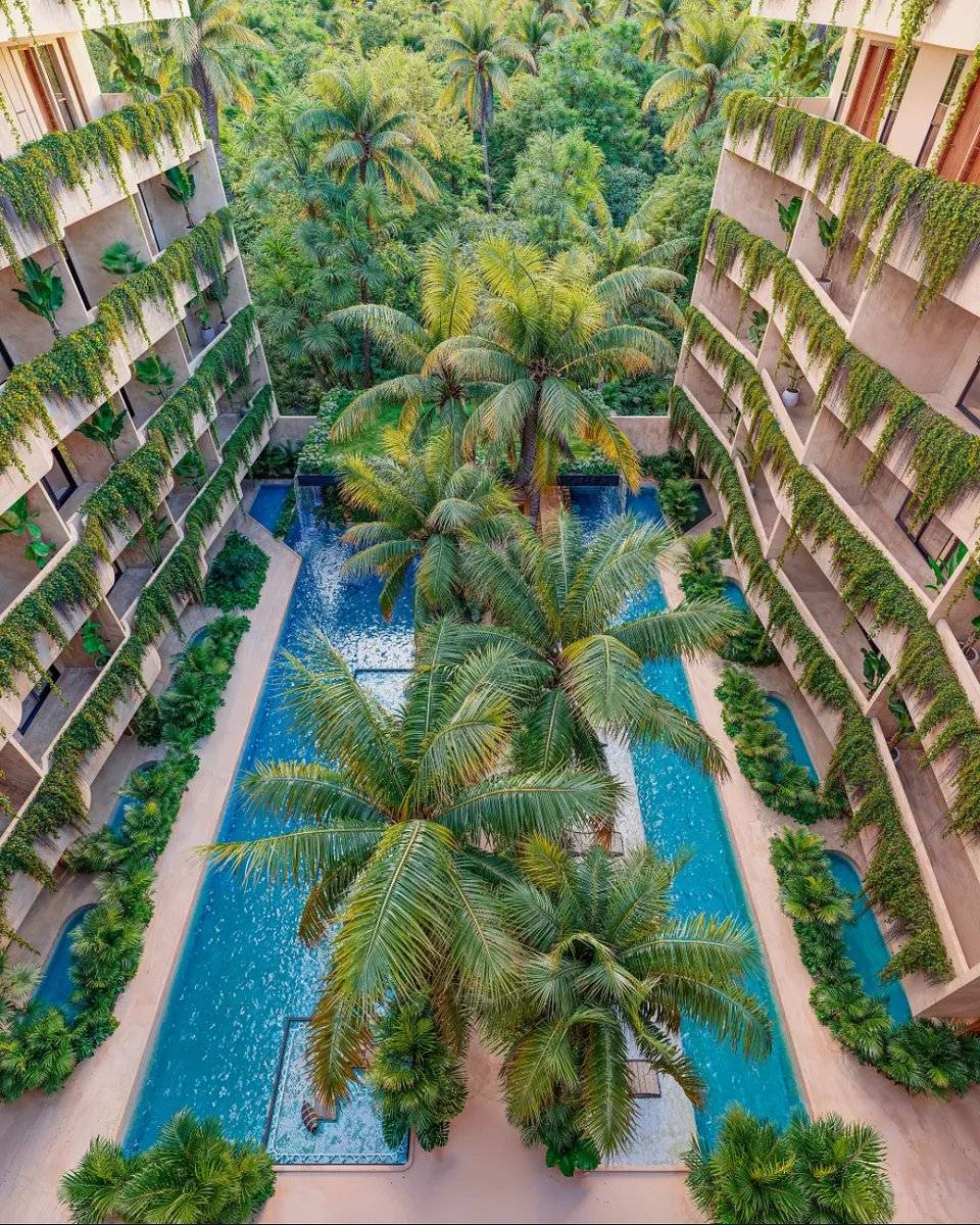 Inversión exclusiva en Tulum, ¡aprovecha ya! 4