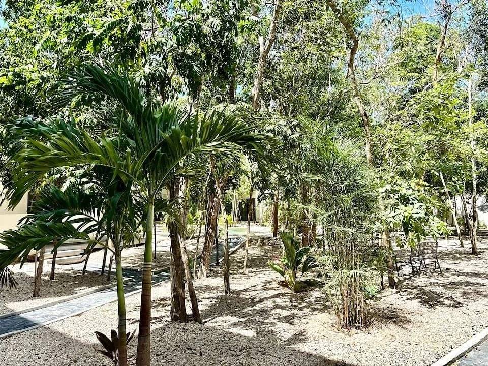 Naia Condo: Eco-contemporáneo en Tulum 4