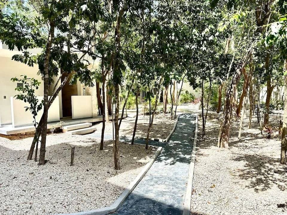 Naia Condo: Eco-contemporáneo en Tulum 2