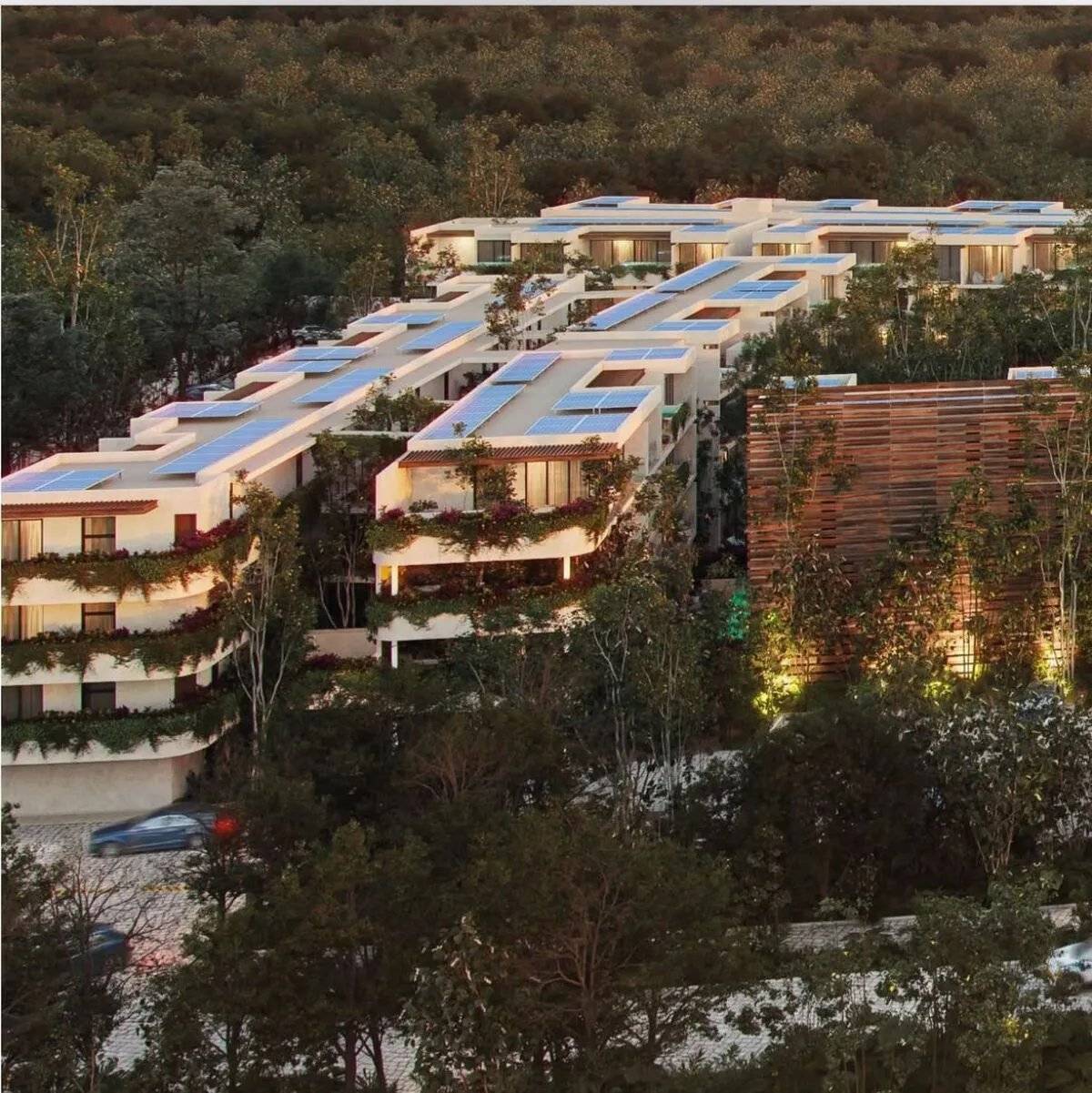 Apartamentos de lujo en Tulum rodeados de naturaleza 5
