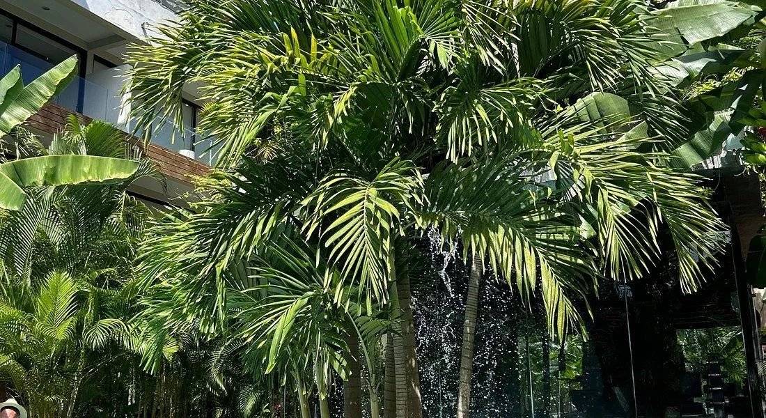 Departamento en Tulum con áreas comunes increíbles 3