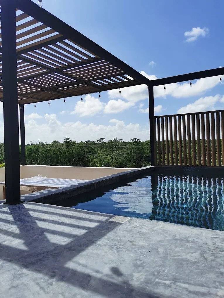 Estudio boutique con alberca y jardín zen 4