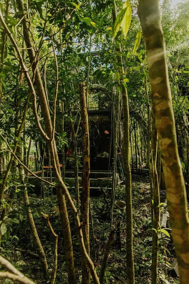 Loft Exclusivo en la Selva de Tulum 2