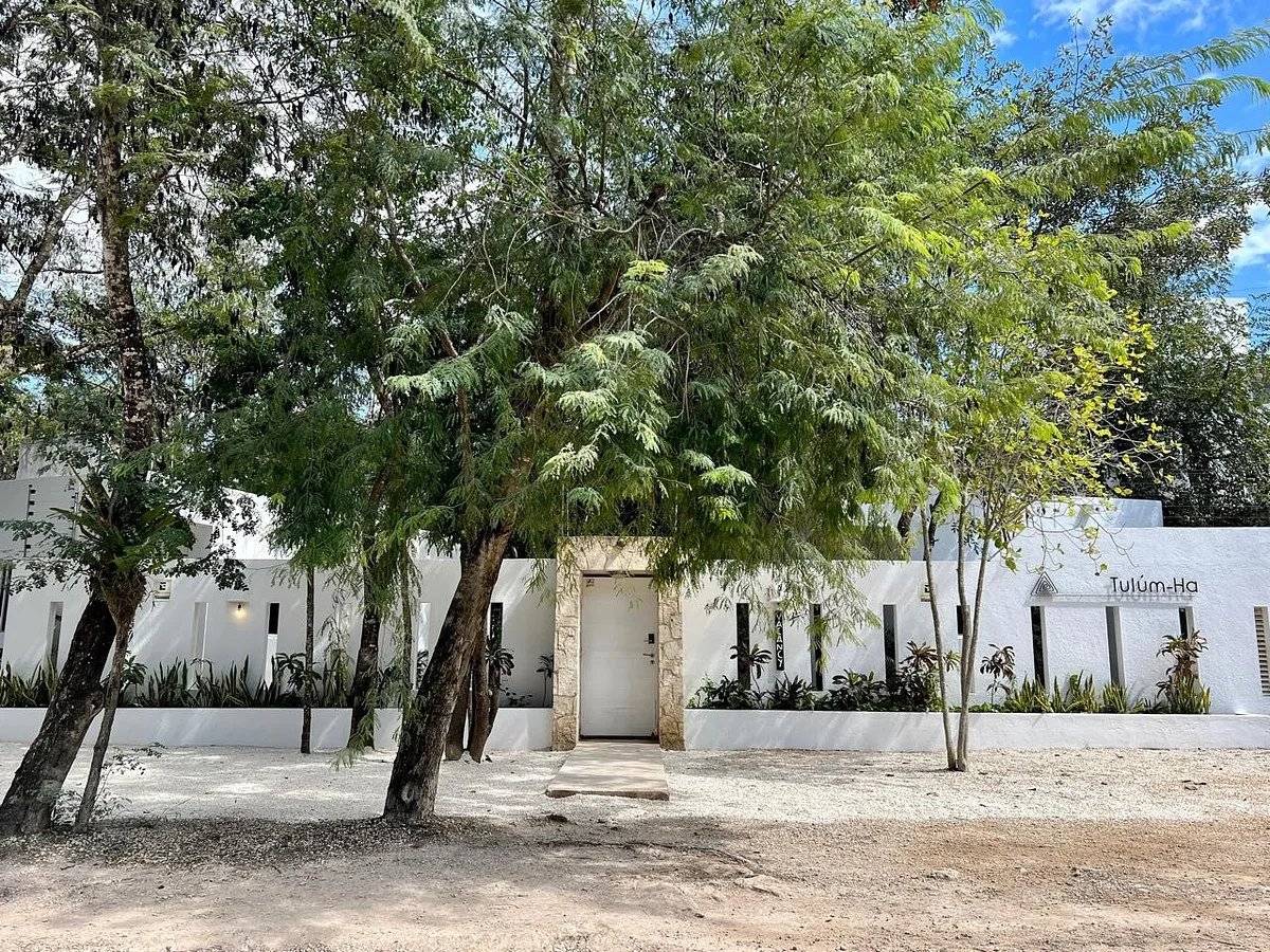 Escapa a Tulum: 6 casitas con piscina y jardín 3