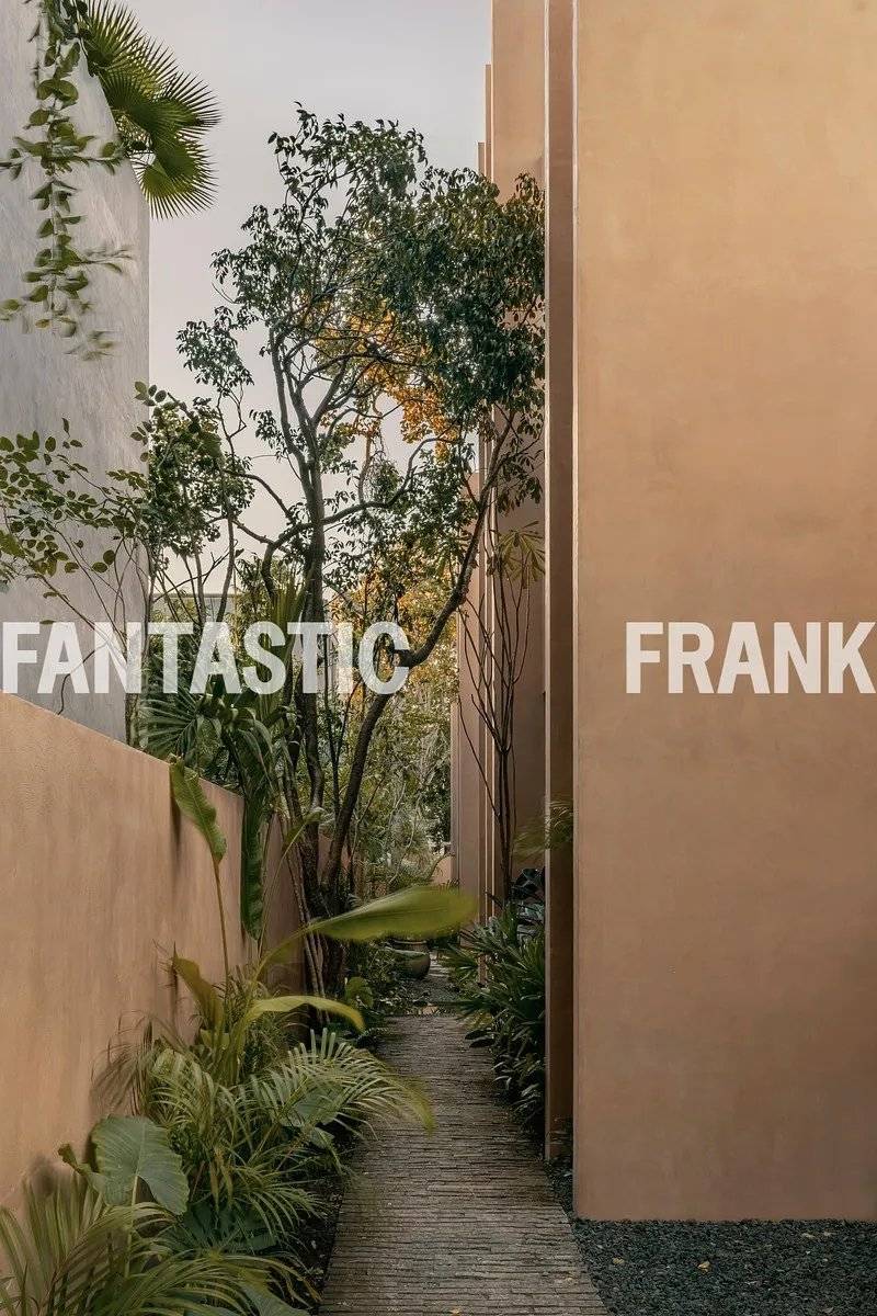 Casa Terra: Diseño contemporáneo en Tulum 3