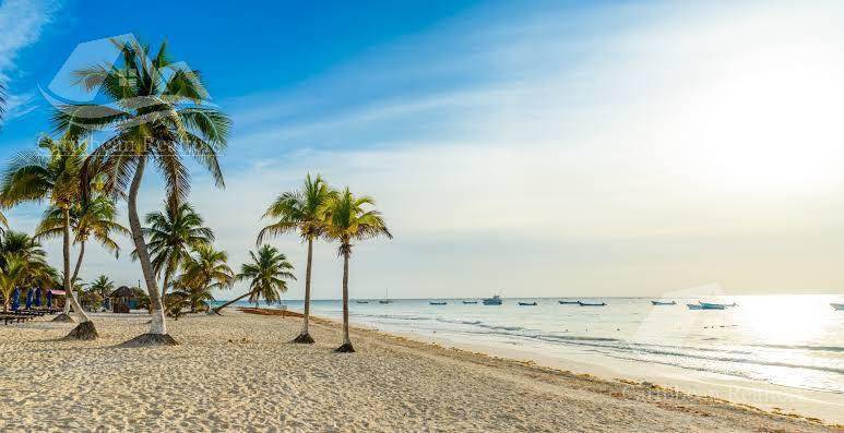 Constelada, aldea zamá tulum. hcs7203 5