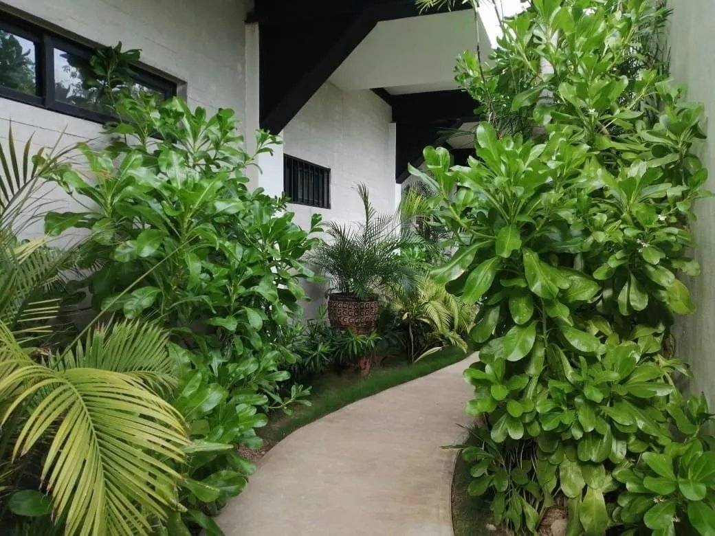 ¡Inversión segura en Tulum, listo para rentar! 4