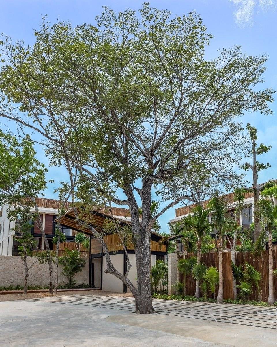 Departamento nuevo con alberca en Tulum 2
