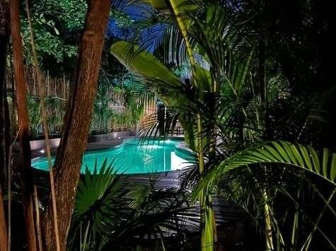 Penthouse exclusivo con vistas a la jungla 3