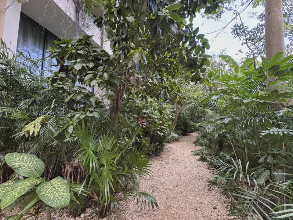 Loft de lujo con terraza en Tulum 5