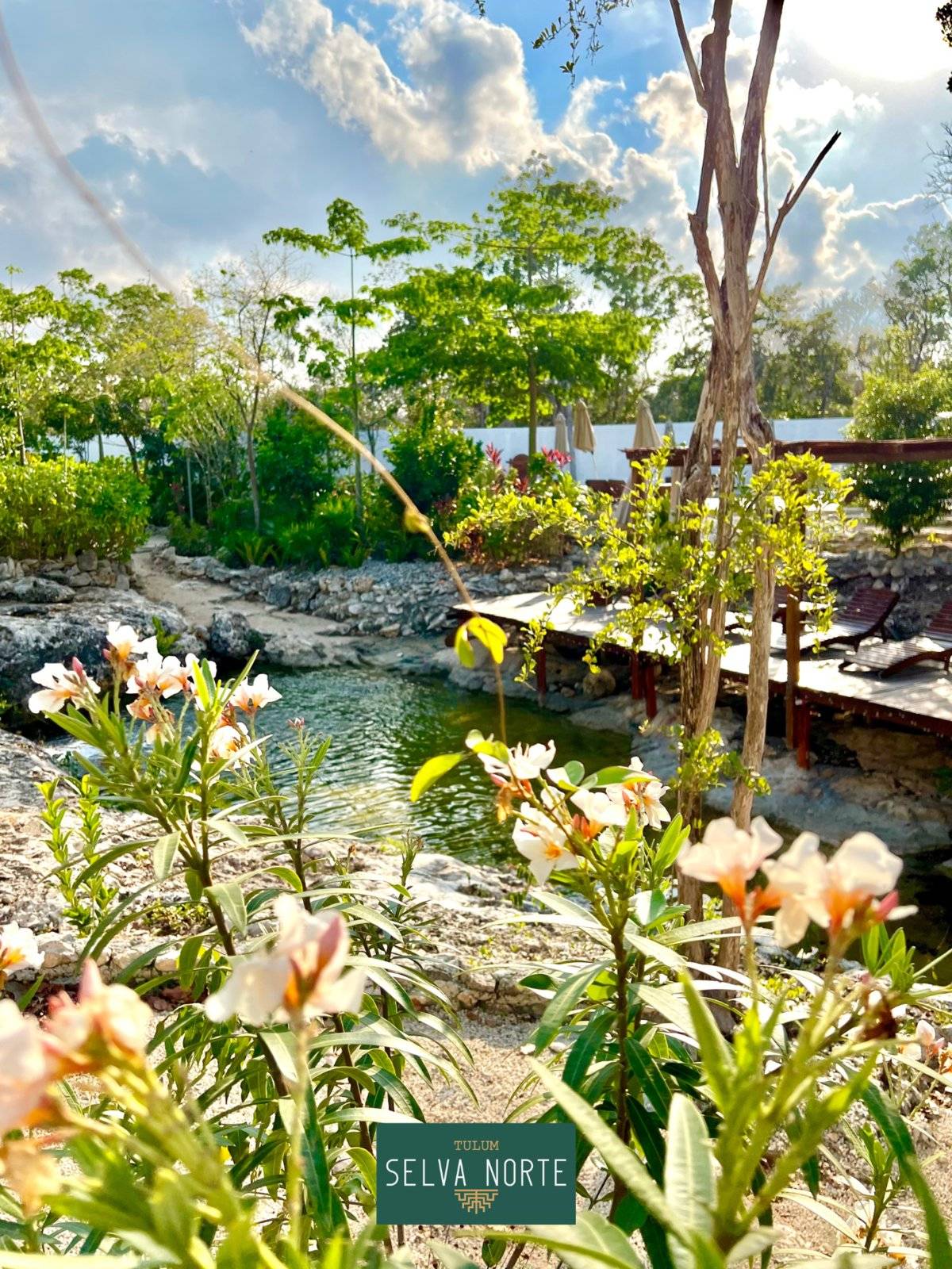 Condo de lujo en Tulum: ¡Tu paraíso espera! 2