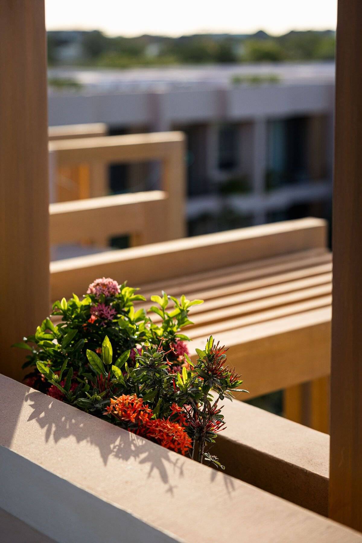 Penthouse exclusivo con amenidades de lujo 4