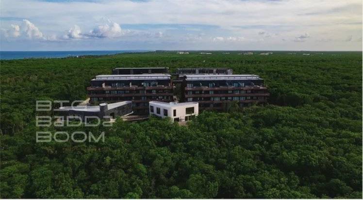 Lujo y exclusividad en Tulum, ¡no te lo pierdas! 5