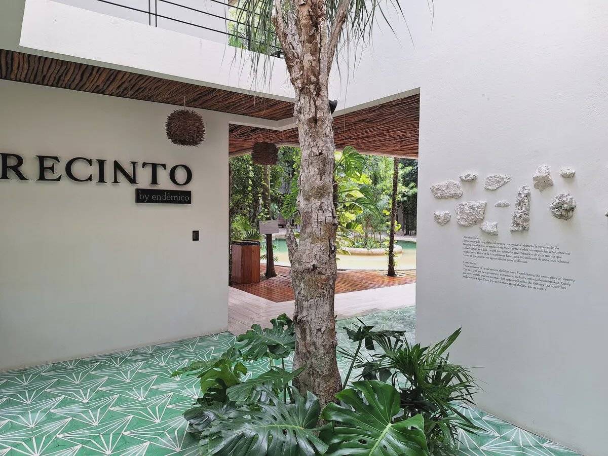 PH en Tulum: Naturaleza y lujo a tu alcance 3