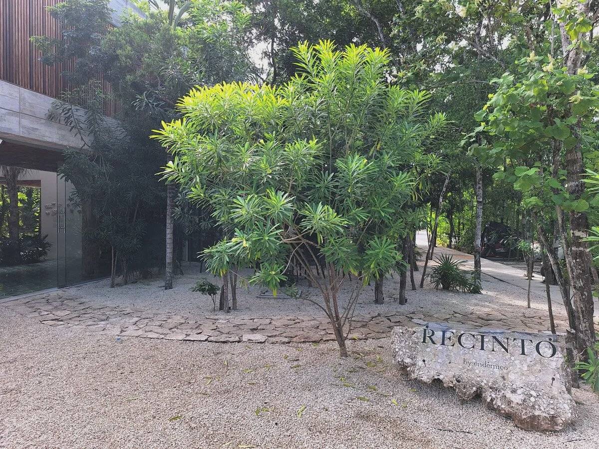 PH en Tulum: Naturaleza y lujo a tu alcance 2
