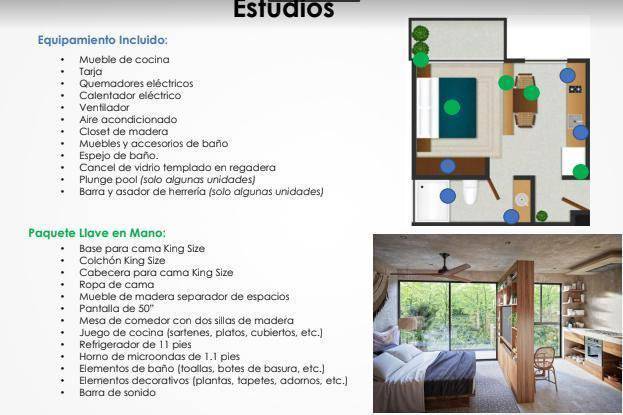 Estudio exclusivo en Tulum rodeado de naturaleza 3