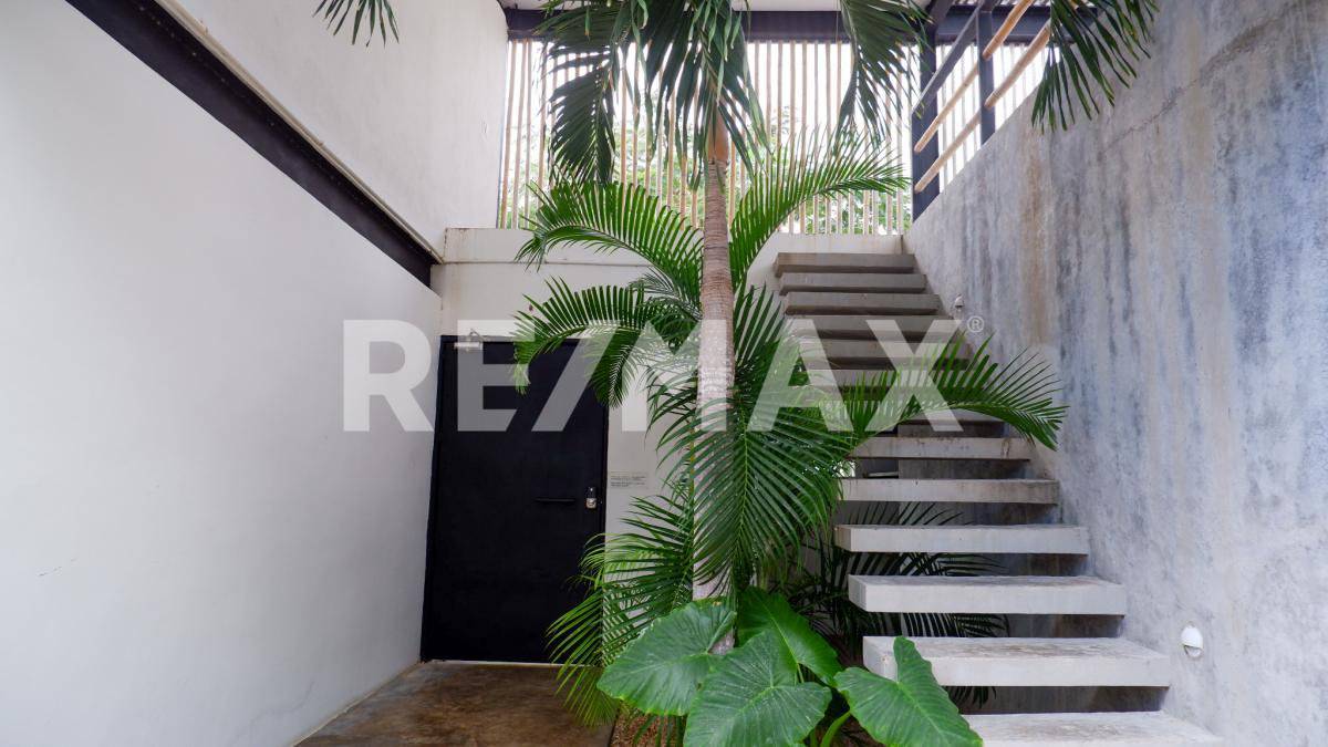 Moderno departamento en Tulum con terraza y alberca 3