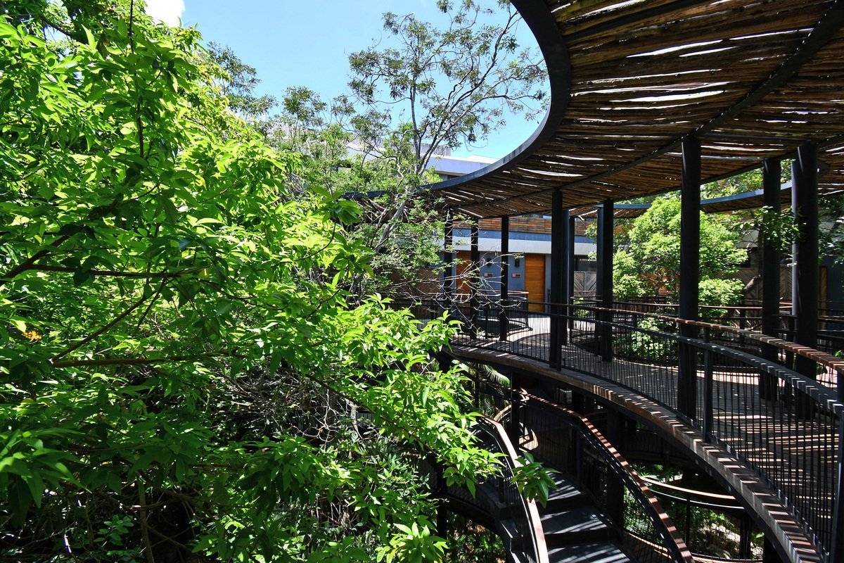 Exclusivo departamento en la selva de Tulum 2