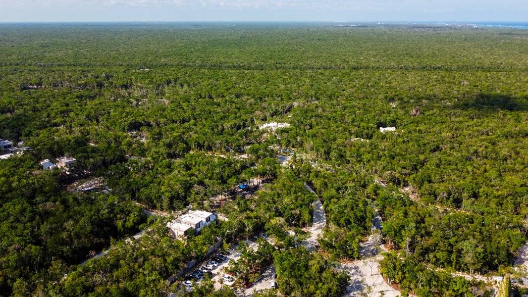 Estudio de lujo en Tulum con parque único 2