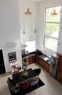 Encantadora casa con jardín y alberca en Tulum 5