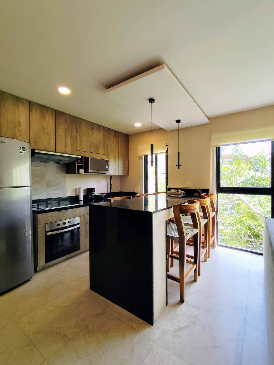 Penthouse Duplex con terraza y alberca privada 2