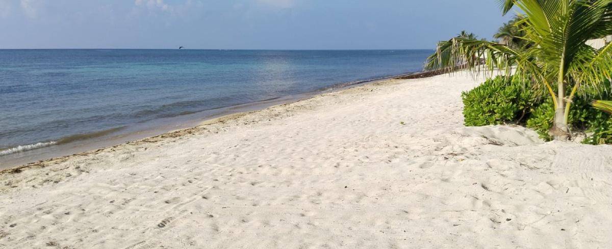 Lujo y naturaleza en Tulum frente al mar 5