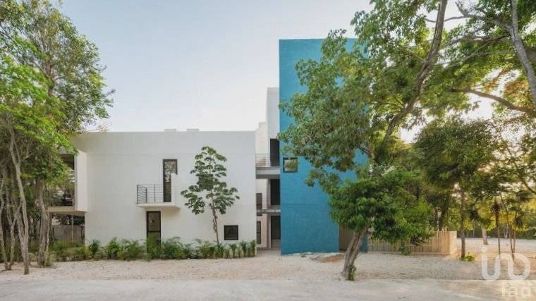 Vive el encanto de Tulum en Aldea Premium 4