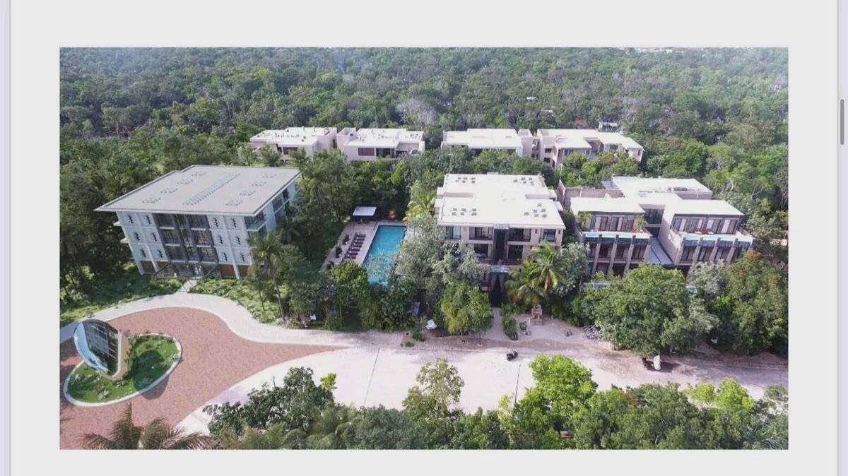 Arthouse: Bienestar y Arte en Tulum 3