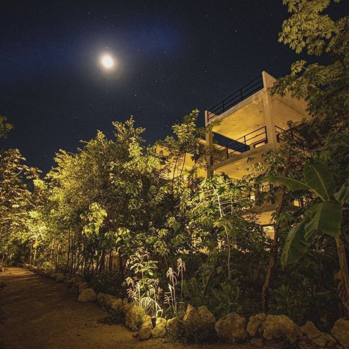 Departamentos de lujo en el corazón de Tulum 3