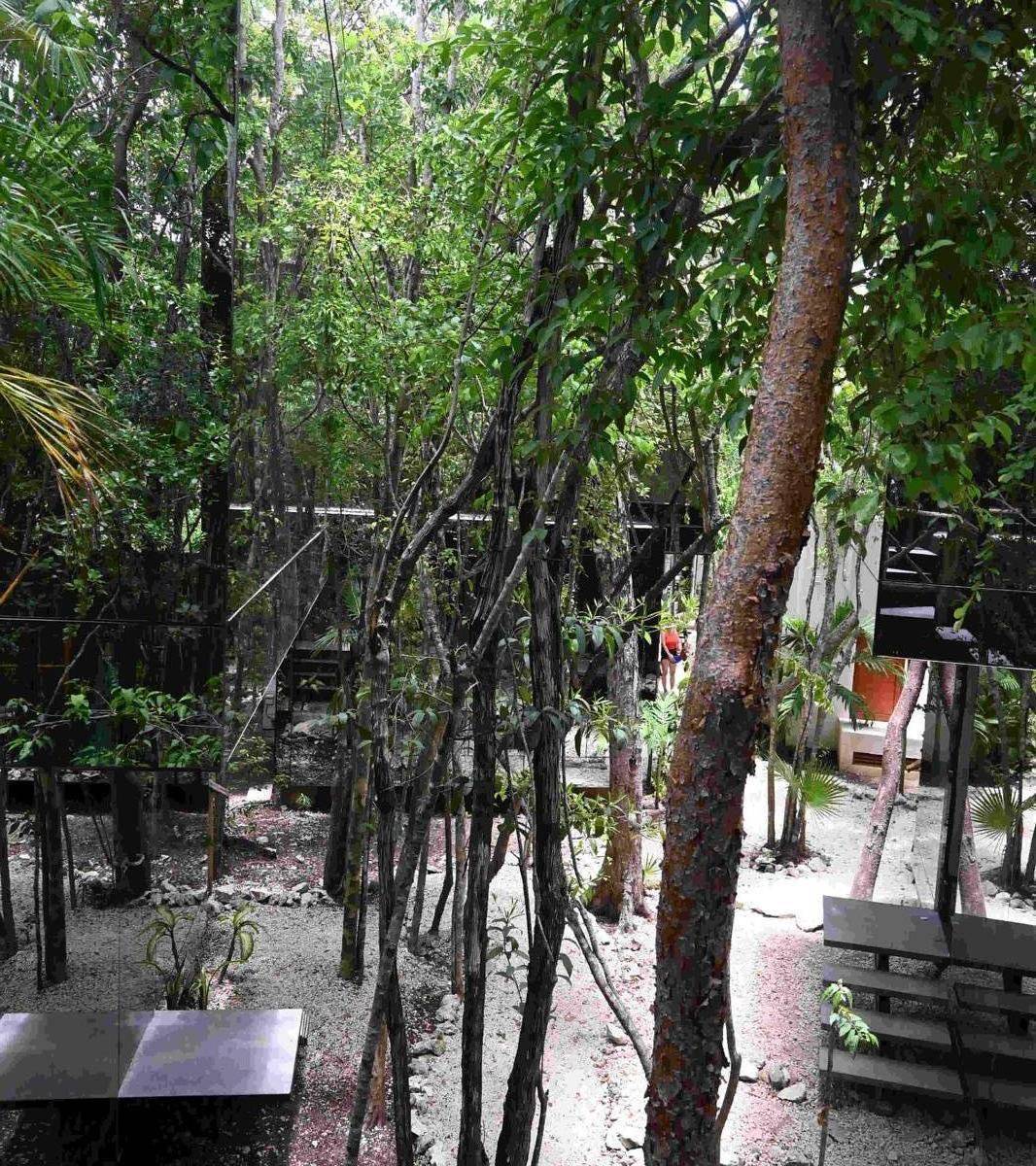 Loft de lujo en Tulum: naturaleza y diseño único 3