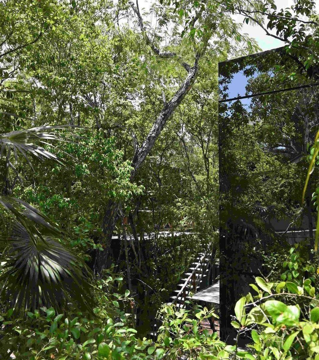 Loft de lujo en Tulum: naturaleza y diseño único 2